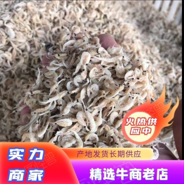 山东当地虾皮，咸虾皮量大从优欢迎全国老板前来考察洽谈