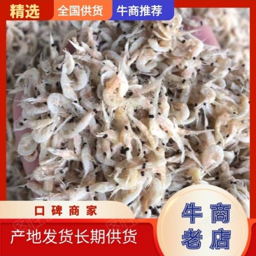 竹节虾，淡干虾皮量大从优欢迎全国老板前来考察洽谈