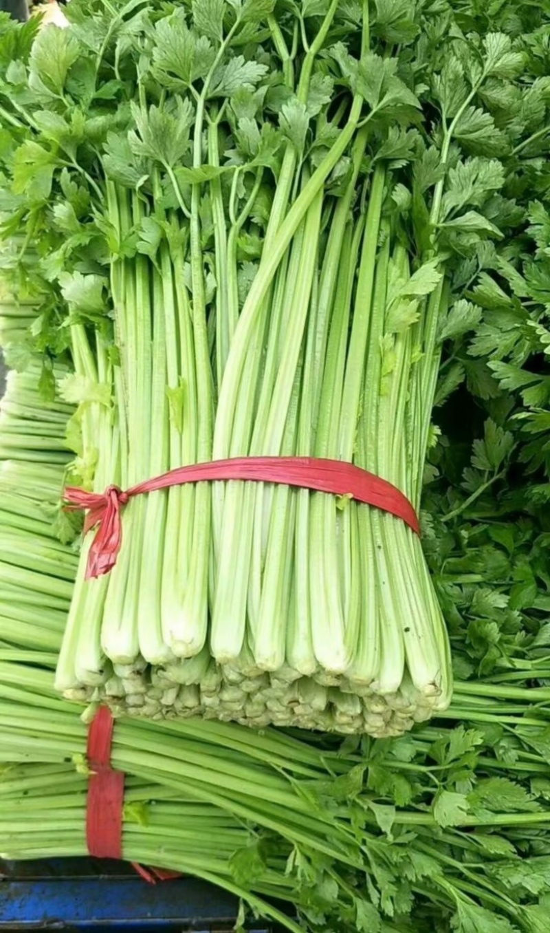 都有货
