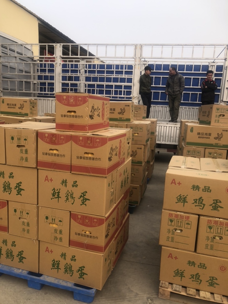 大柴富硒双色红蛋北京可配送