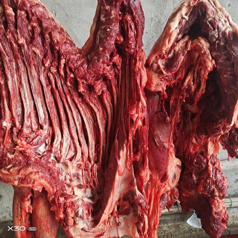 新鲜驴肉带皮不带皮酒店专供