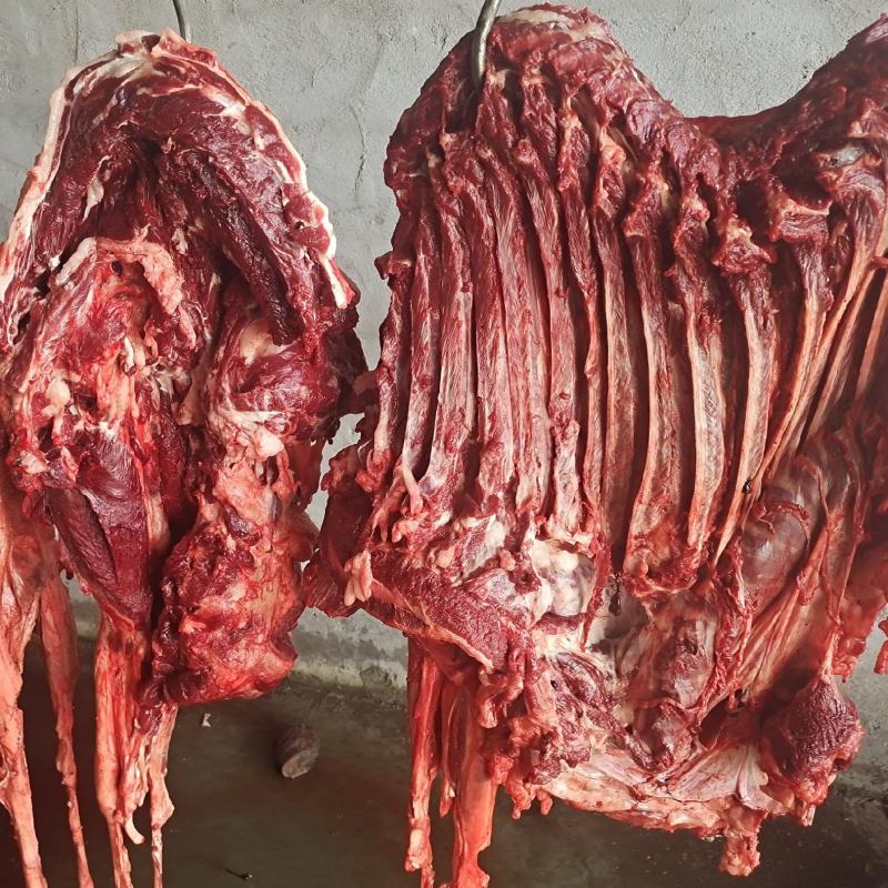 新鲜驴肉带皮不带皮酒店专供