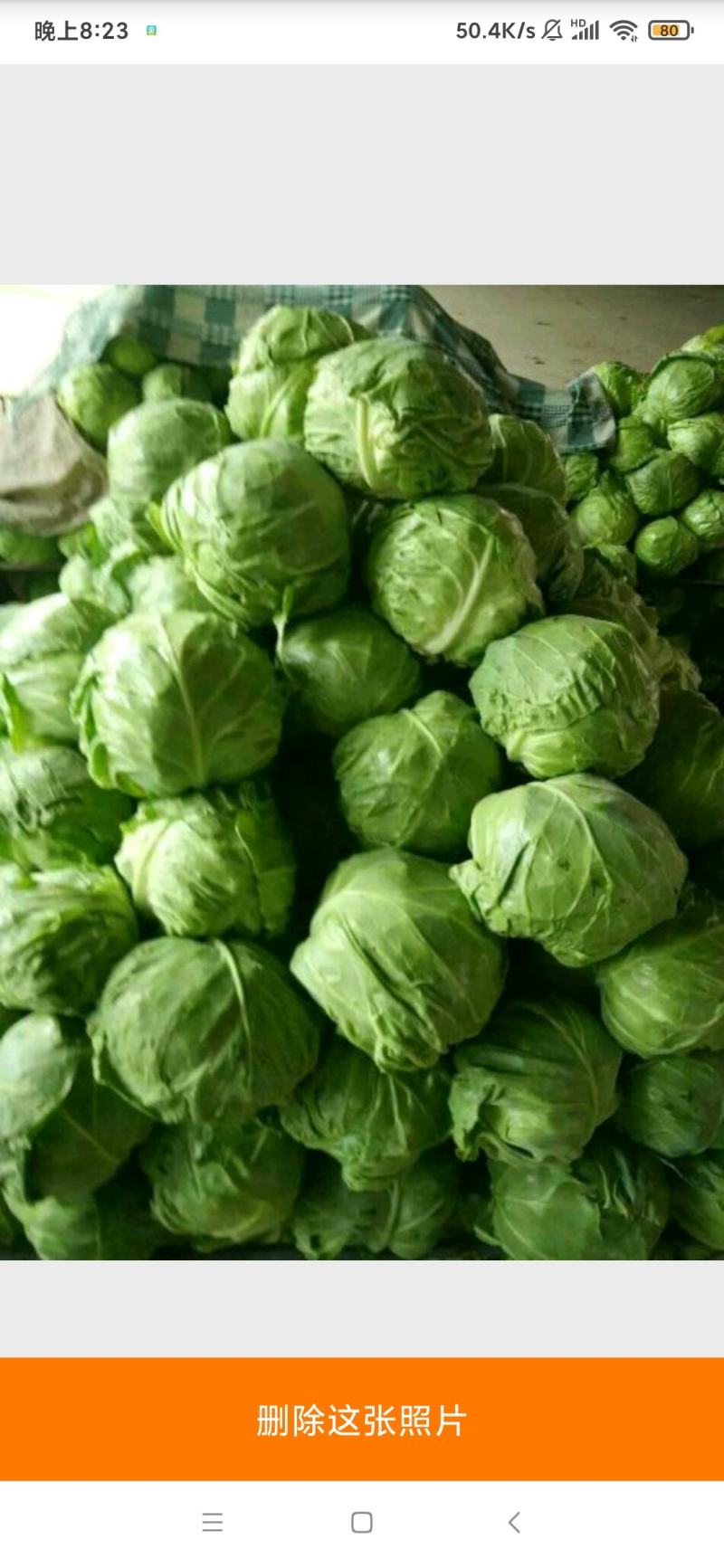 【可视频看货】中甘11甘蓝通货1~2公斤对接商超