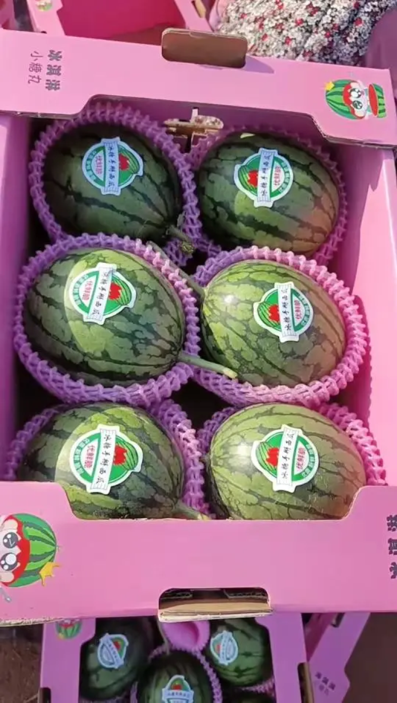 手撕小西瓜，全美2k承接电商微商全国发货