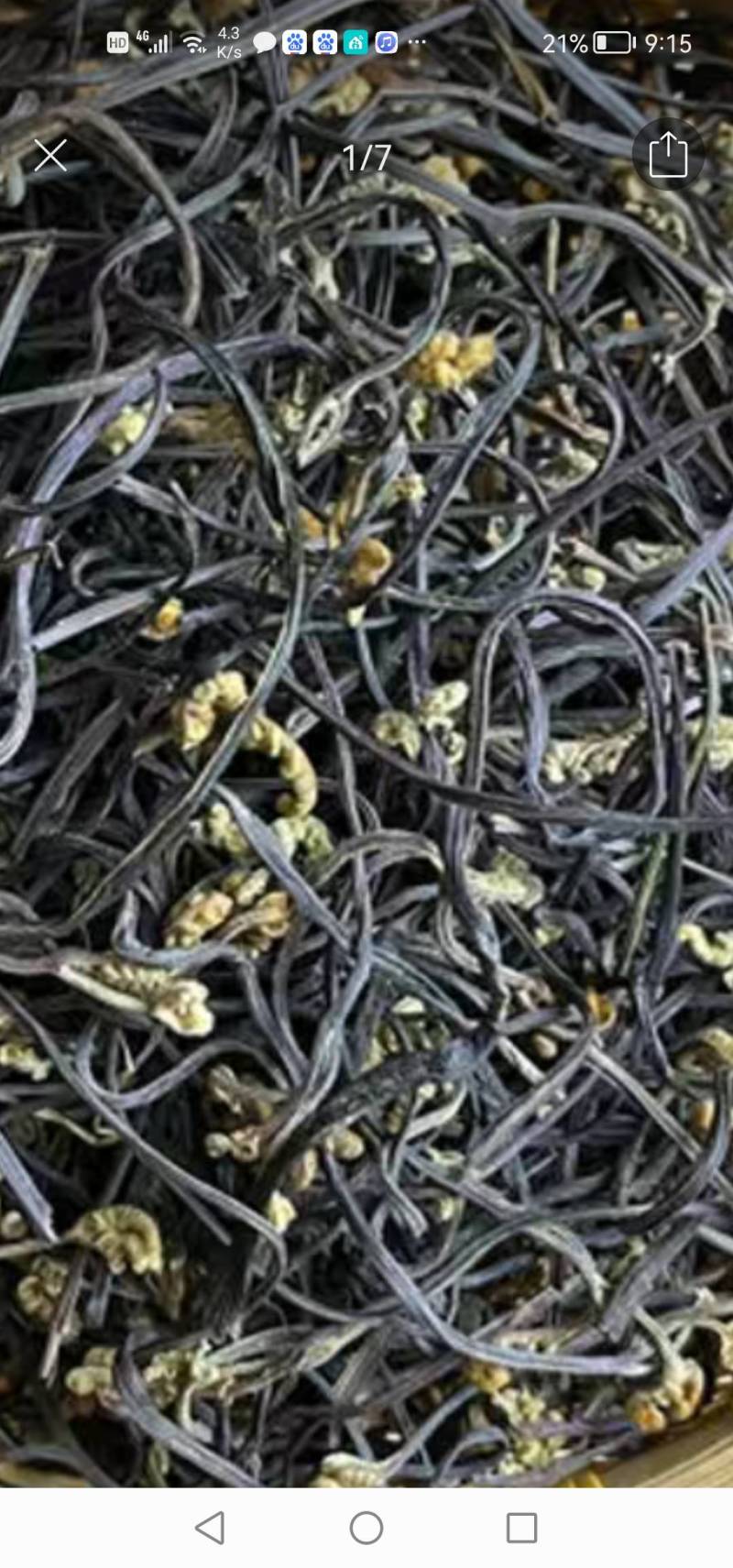 云南撅菜干