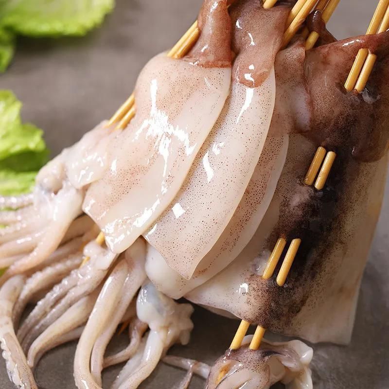 鱿鱼板串铁板大鱿鱼串烧烤板串鱿鱼整条串
