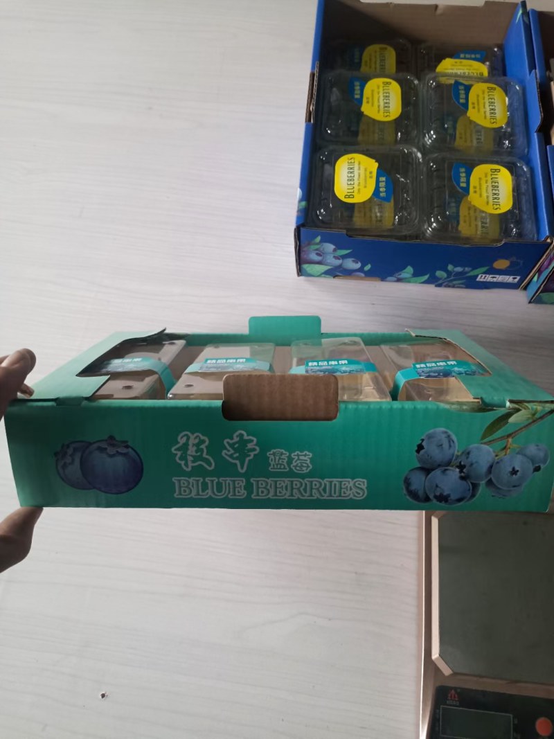 山东蓝莓产地直供