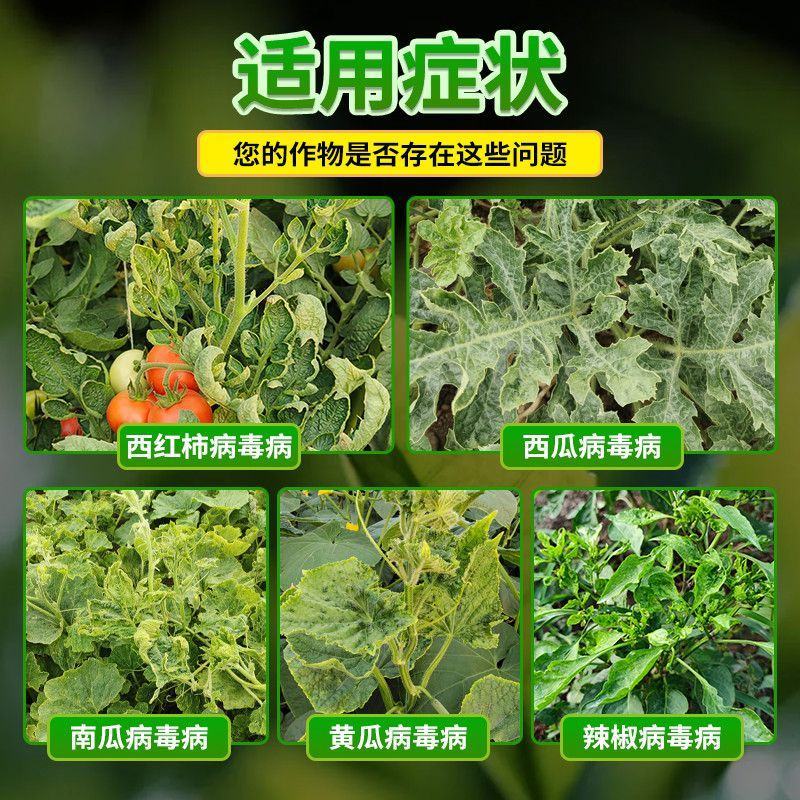 1%香菇多糖西瓜番茄黄瓜辣椒蔬菜花叶病病毒病杀菌剂