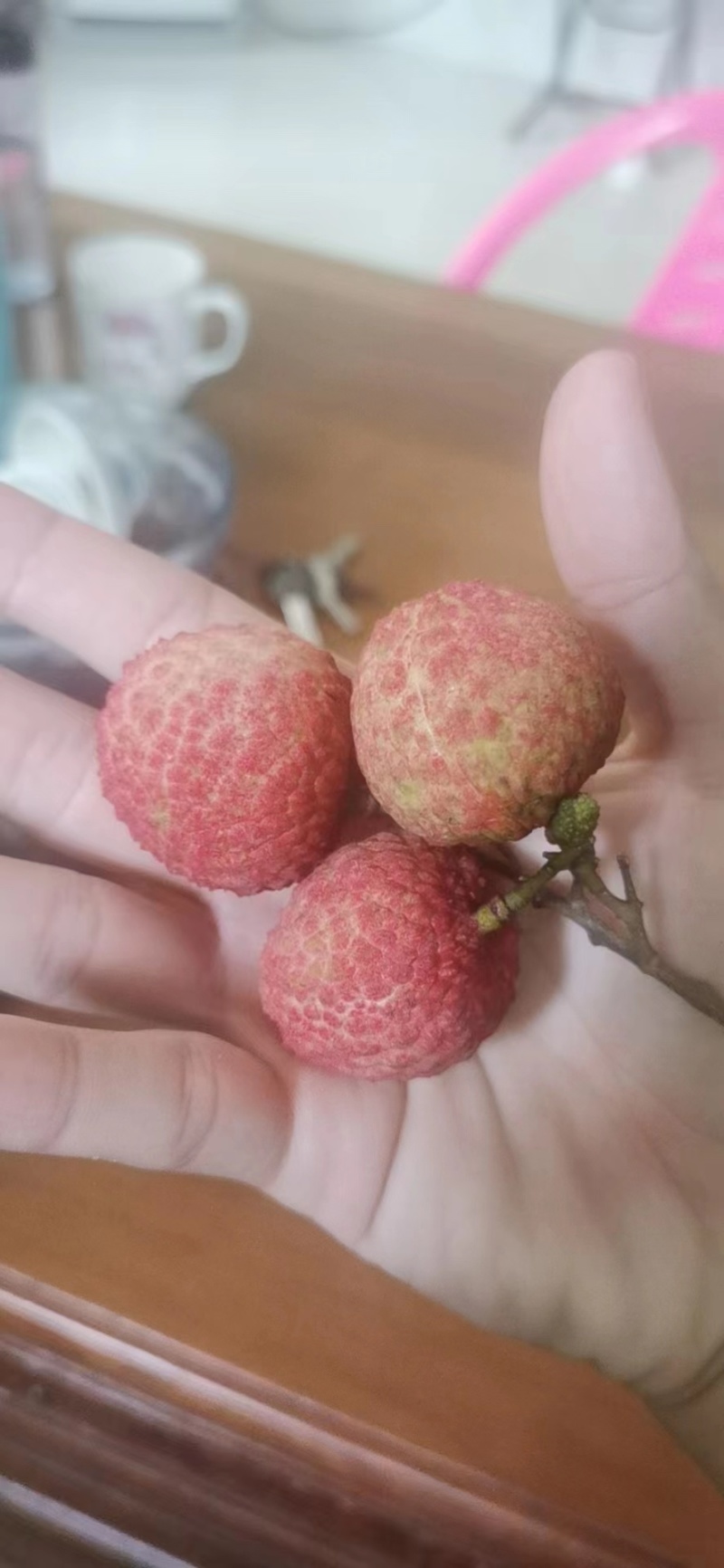 【产地货源】桂味荔枝大量供应，批发市场电商商超，社区团购