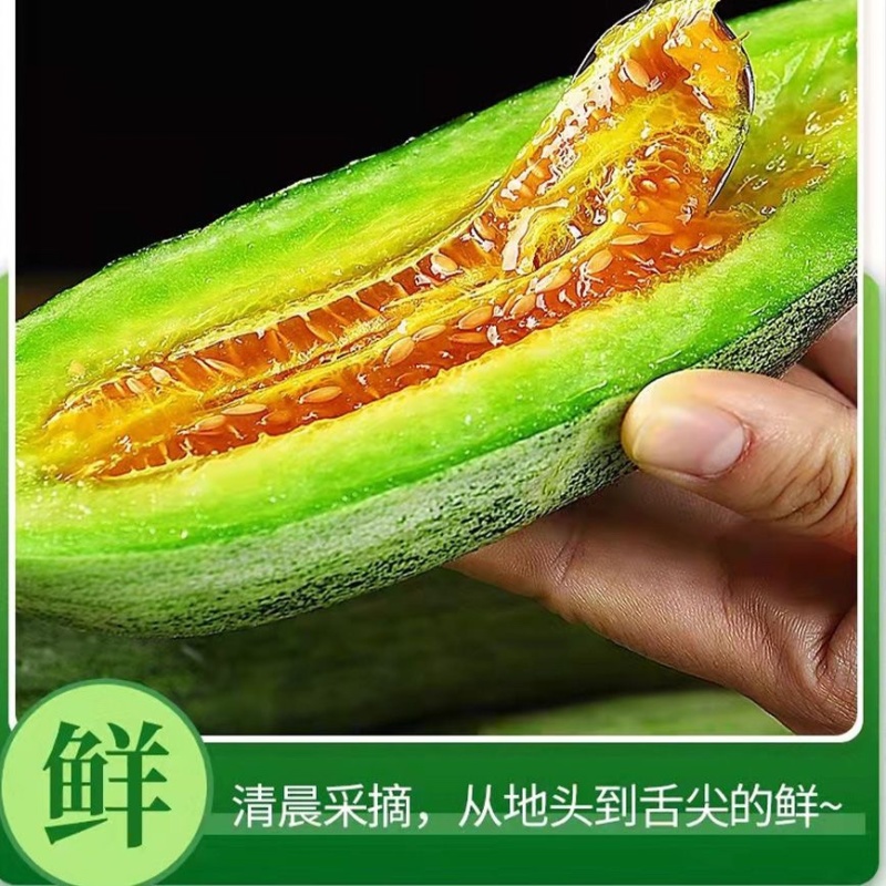 羊角蜜甜瓜社区团购落地配商超市场平台对接一件代发大量现货