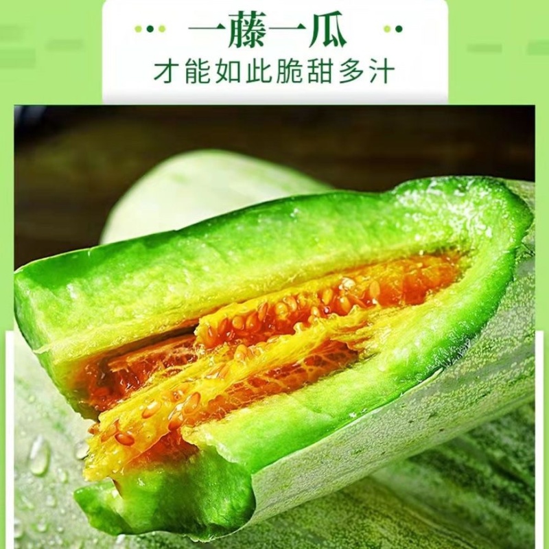 羊角蜜甜瓜社区团购落地配商超市场平台对接一件代发大量现货