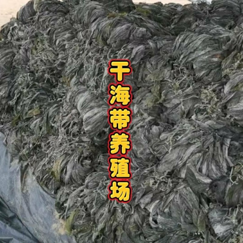 干海带挂菜海带片海带结海带条板菜压缩海带丝烘干裙带菜海带