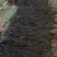 干海带挂菜海带片海带结海带条板菜压缩海带丝烘干裙带菜海带
