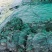 干海带挂菜海带片海带结海带条板菜压缩海带丝烘干裙带菜海带