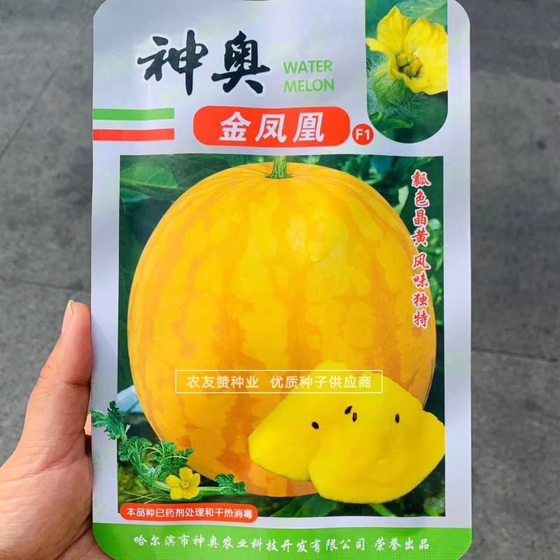 高球型黄皮黄瓤西瓜种子金凤凰礼品西瓜种子特甜入口即化