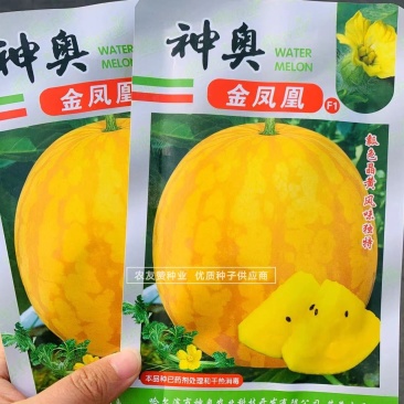 高球型黄皮黄瓤西瓜种子金凤凰礼品西瓜种子特甜入口即化