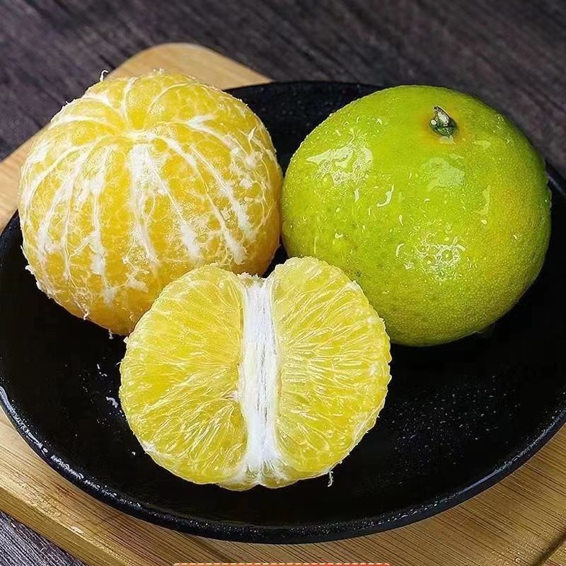 【正宗皇帝柑】广东茂名电白皇帝柑，新鲜大量上市中香甜多汁