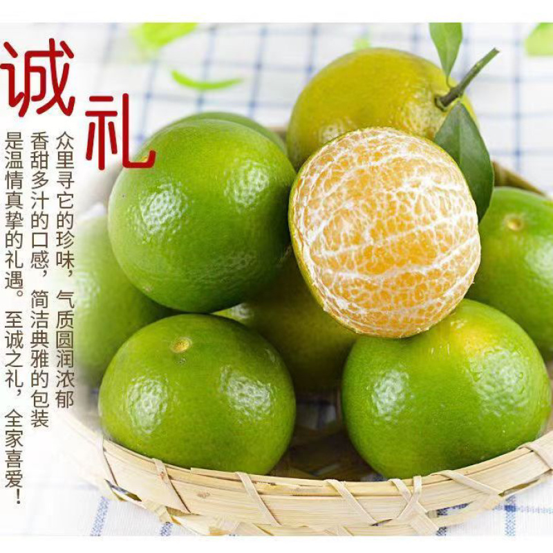【批发皇帝柑】广东皇帝柑，基地发货可视频看货，整车批发