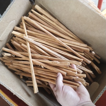 精品烟桂
