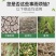 矿源黄腐酸钾水溶肥叶面肥激活土壤生根壮苗提高肥