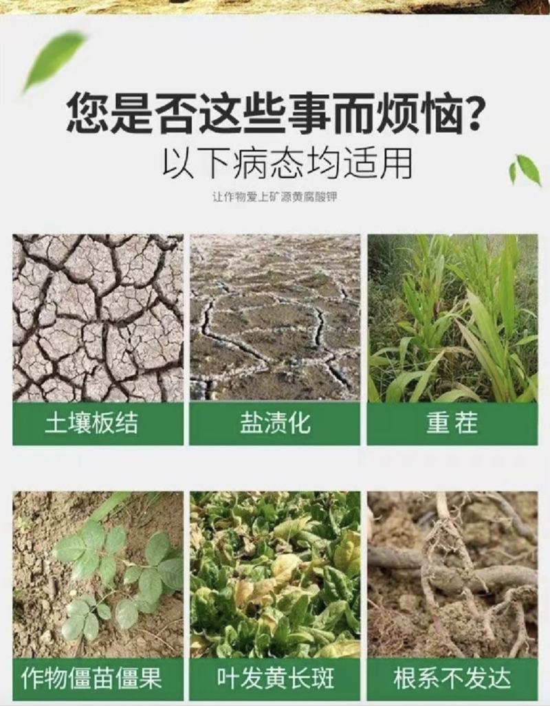 矿源黄腐酸钾水溶肥叶面肥激活土壤生根壮苗提高肥