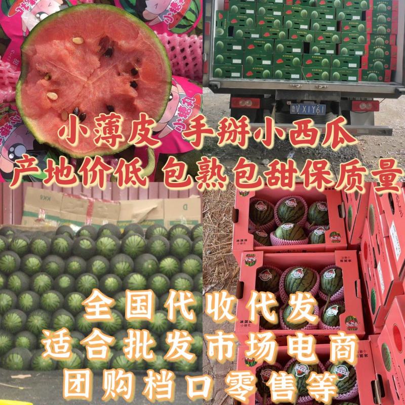2k西瓜。大量有货保证客户质量产地团队实力代收货源充