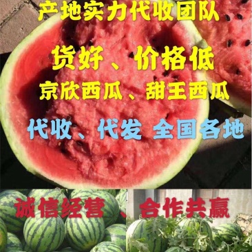 甜王西瓜货源充足产地一手货源保质保量品质好