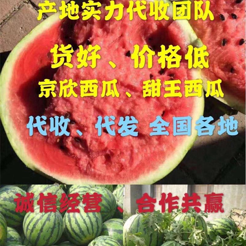 甜王西瓜货源充足产地一手货源保质保量品质好