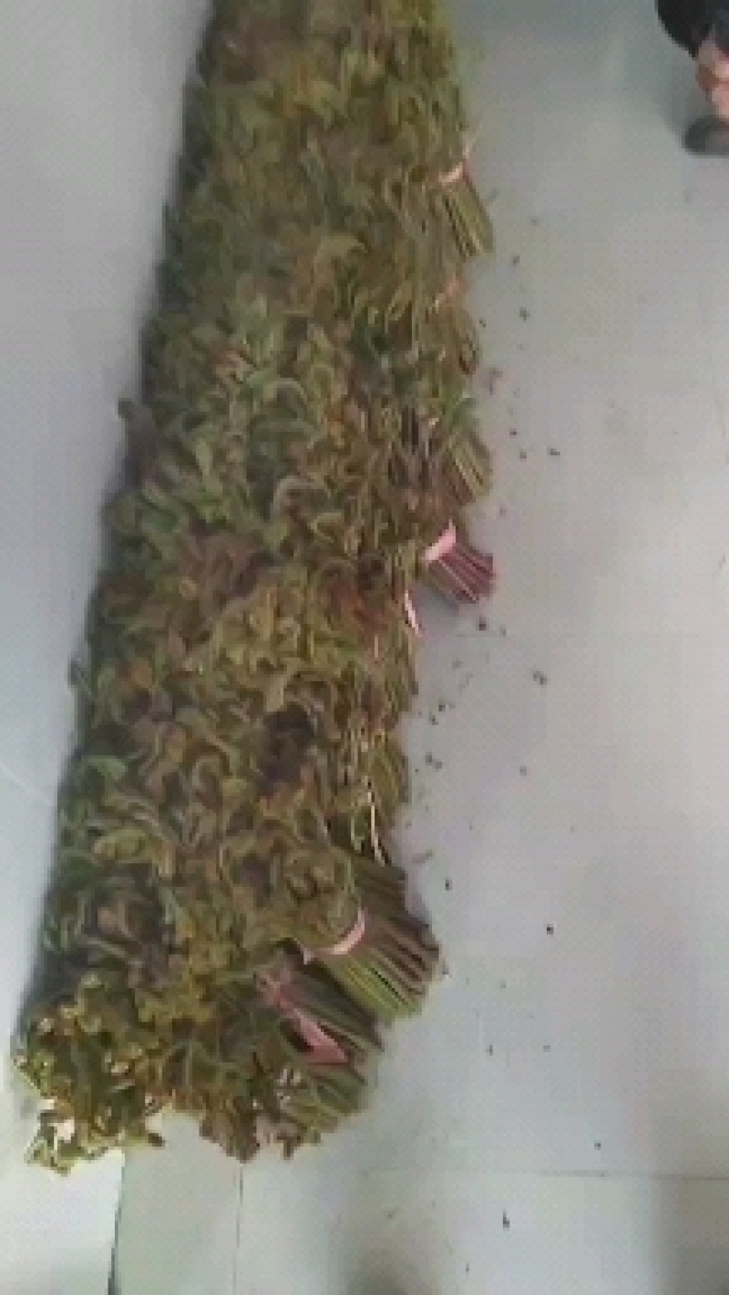 贵州正宗野生蕨菜，味道巴适得很，需要老板联系！！！！！！