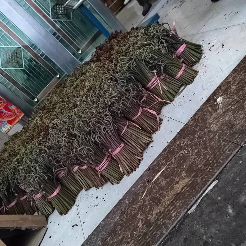 贵州正宗野生蕨菜，味道巴适得很，需要老板联系！！！！！！