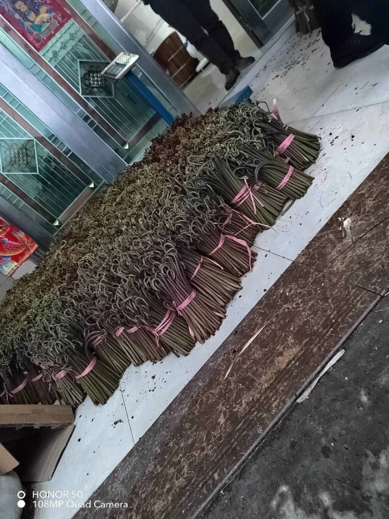 贵州正宗野生蕨菜，味道巴适得很，需要老板联系！！！！！！