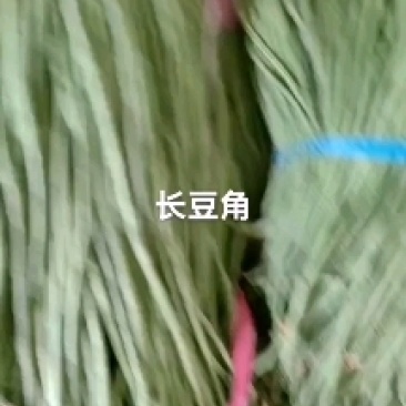 长豆角