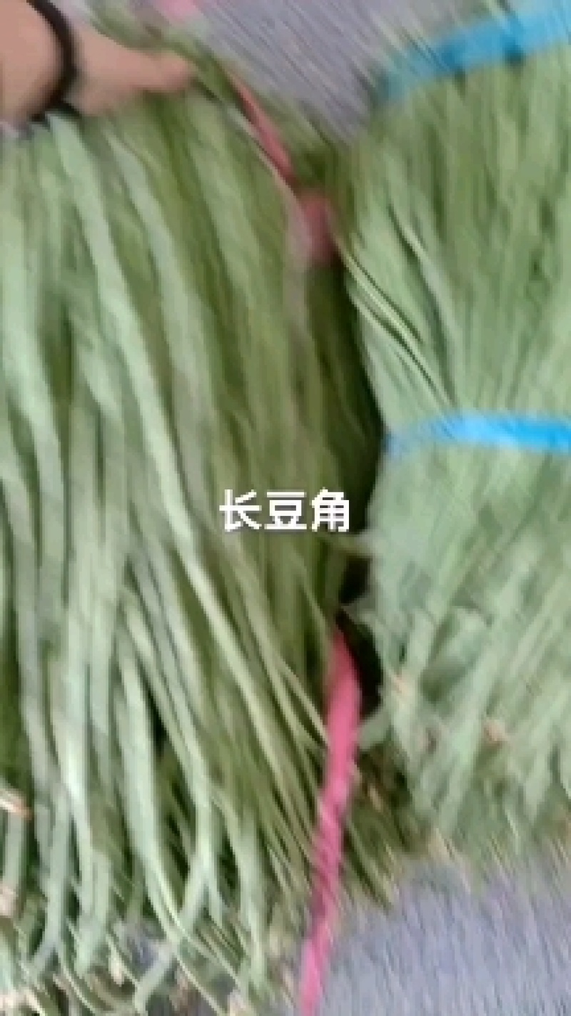 长豆角