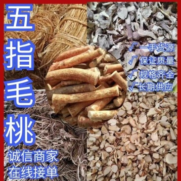 野生小叶五指毛桃匀可长期供应！干货鲜货匀可选择
