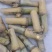 新品种皇竹草甛象红象草牛马羊食用四季牧草芽节