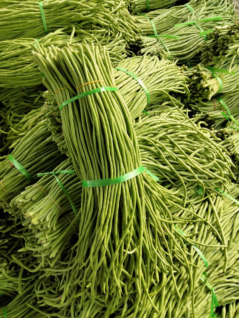 精品长豆角大量上市中，颜色油绿，条形直，无鼓子，货源充足