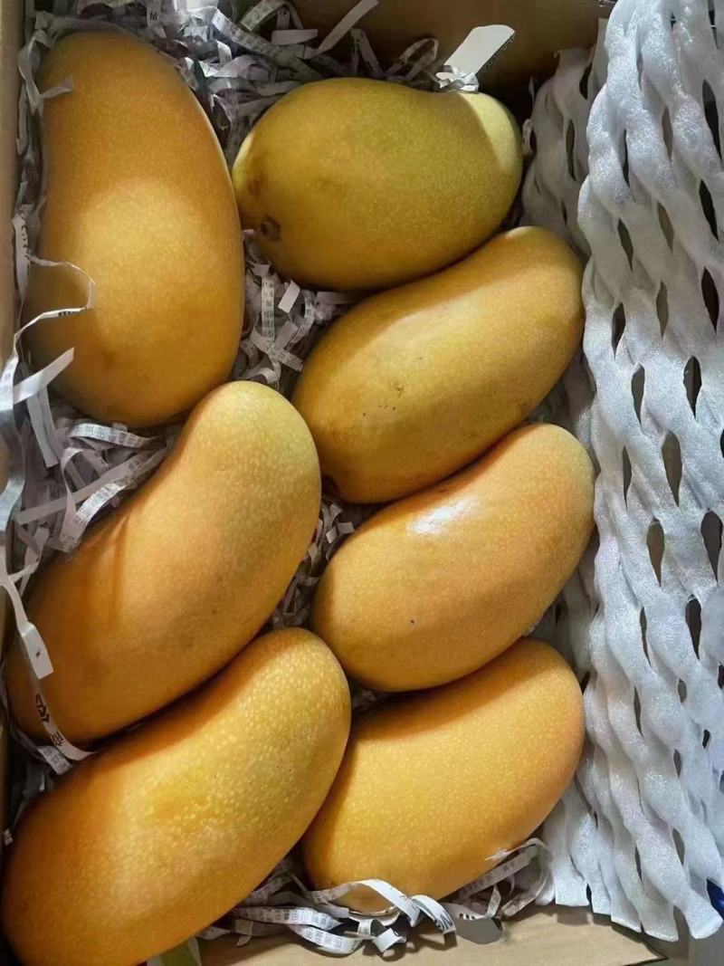 金煌芒，大青芒已大量上市，香甜爽口，对接电商，团购，市场