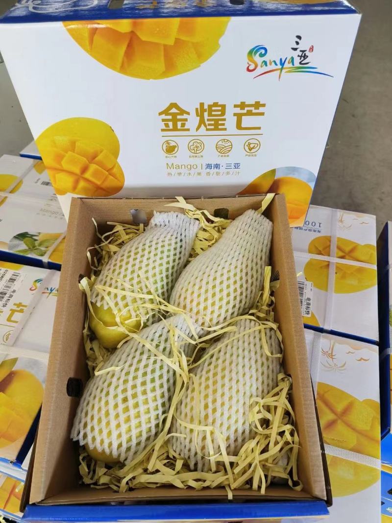 金煌芒，大青芒已大量上市，香甜爽口，对接电商，团购，市场