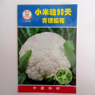 花菜种子，青梗有机花菜小米粒.松花菜品种种子