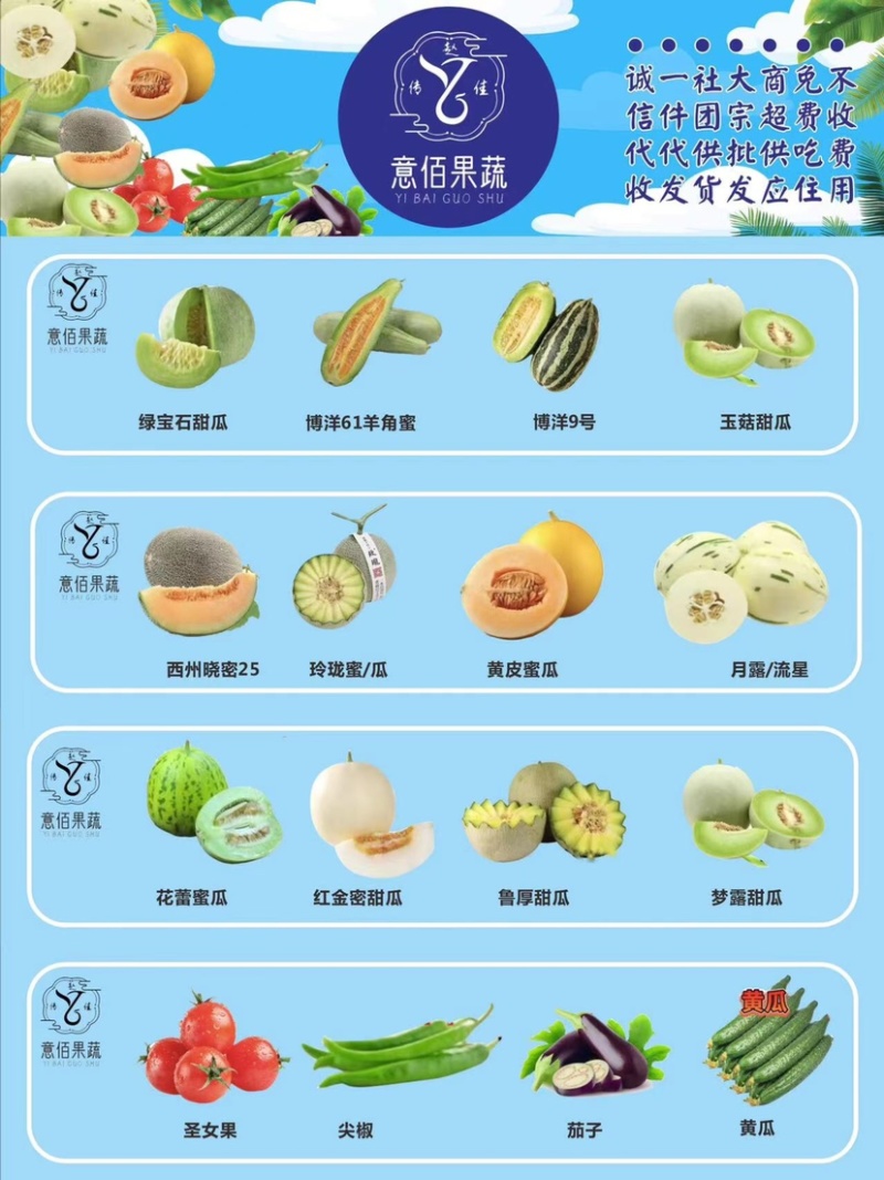 🔥万亩甜瓜园久瑞红甜瓜高糖度实力供应商超批发零售🤝