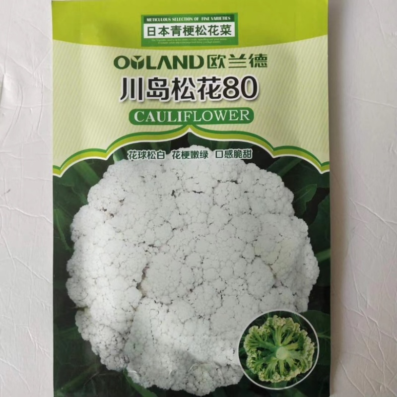 花菜种子，青梗有机花菜小米粒.松花菜品种种子