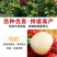 大量出售仙进奉荔枝苗带绿荔枝苗桂味荔枝苗冰荔苗