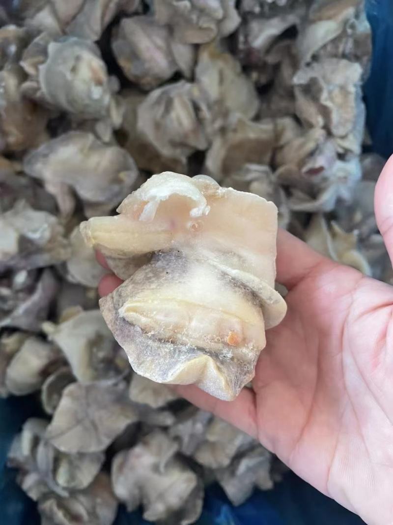 海螺肉，价格优惠，成年有货，清理特别干净，欢迎咨询