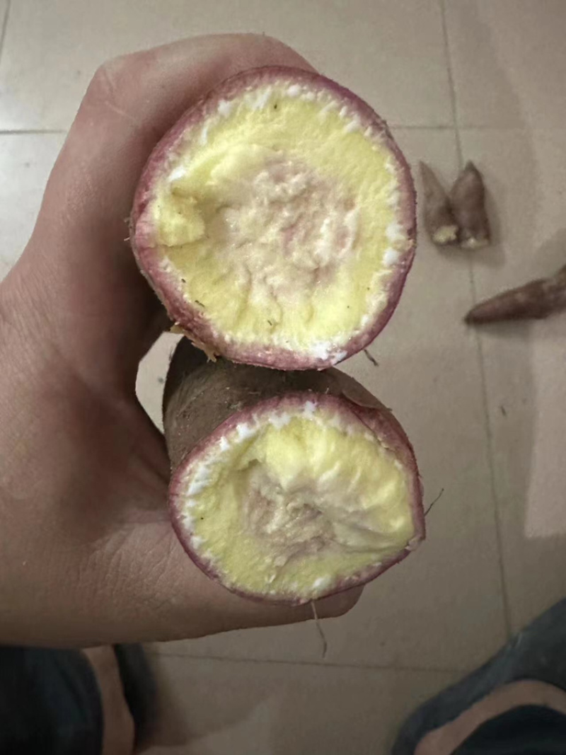 南沙一点红
