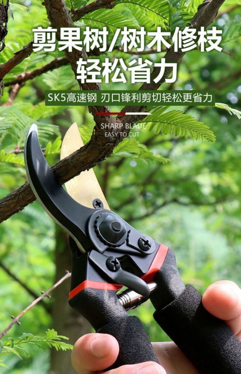 德国进口sk5强力园艺剪不锈钢省力修剪枝果树粗枝树枝专用