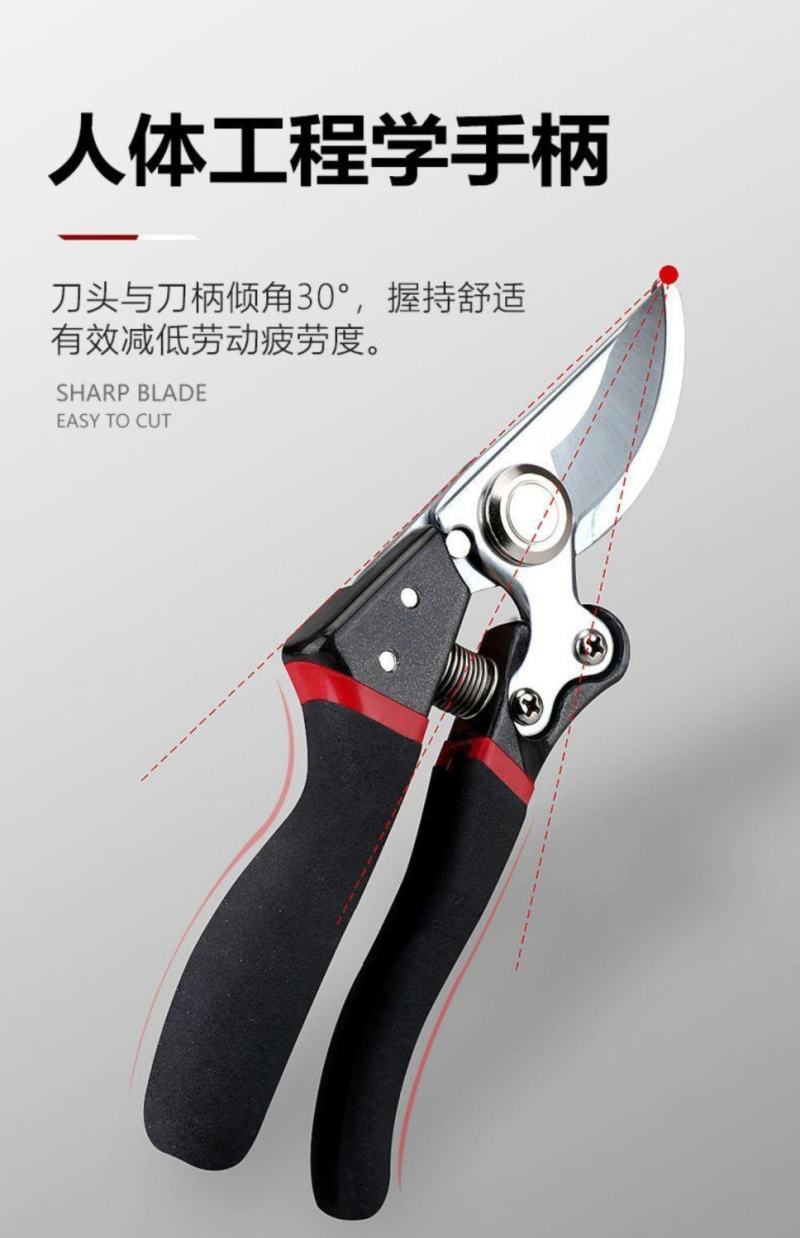 德国进口sk5强力园艺剪不锈钢省力修剪枝果树粗枝树枝专用