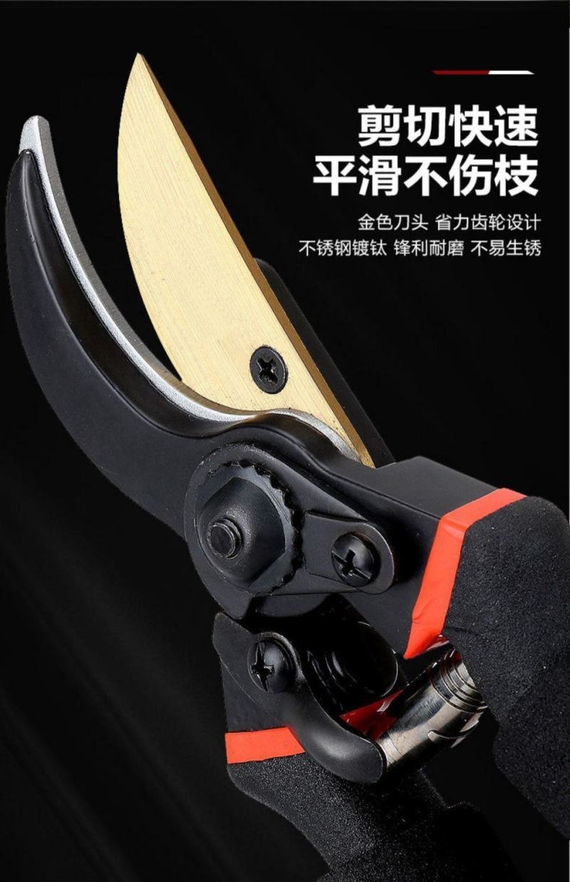 德国进口sk5强力园艺剪不锈钢省力修剪枝果树粗枝树枝专用