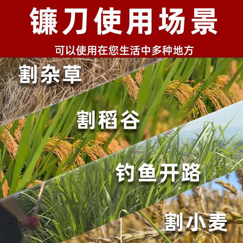 周师傅镰刀农用割草刀收割刀除草刀割稻谷麦子农活刀长柄钓鱼