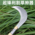 周师傅镰刀农用割草刀收割刀除草刀割稻谷麦子农活刀长柄钓鱼