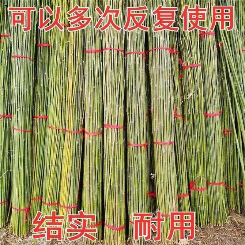 菜园搭架竹竿豆角黄瓜爬藤架园艺篱笆围栏旗杆竹竿瓜果爬藤架